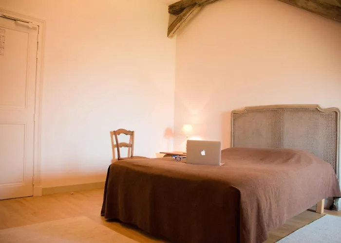 Surprenantes - Château Du Pé